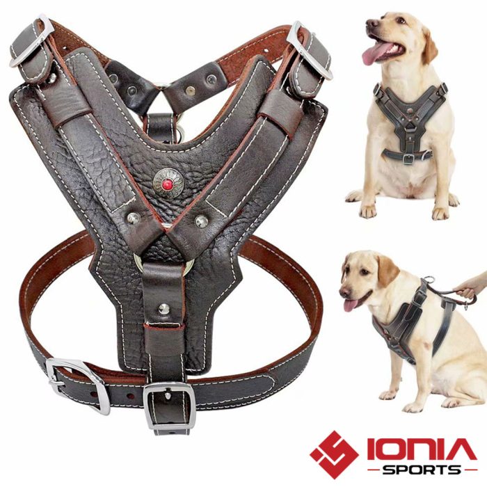 Leather Harness For Dogs