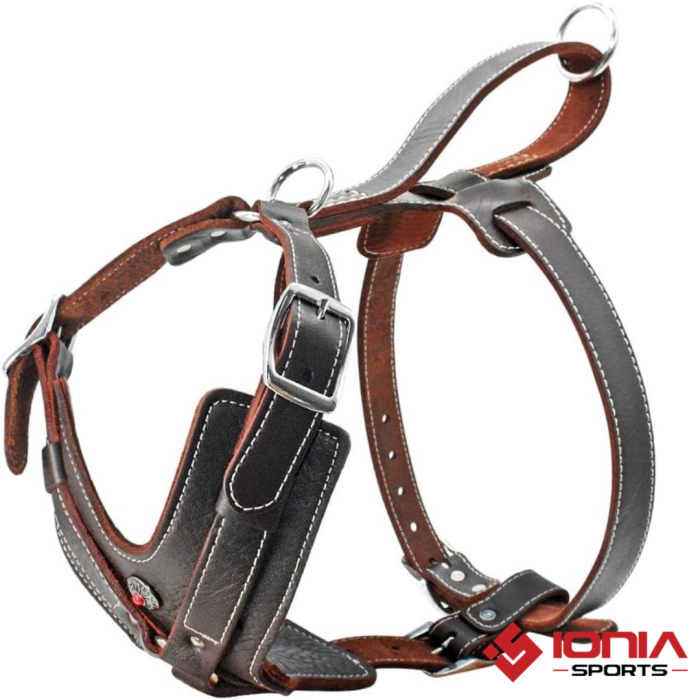 Pakistani leather harness for dogs