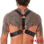 torso belt male harness