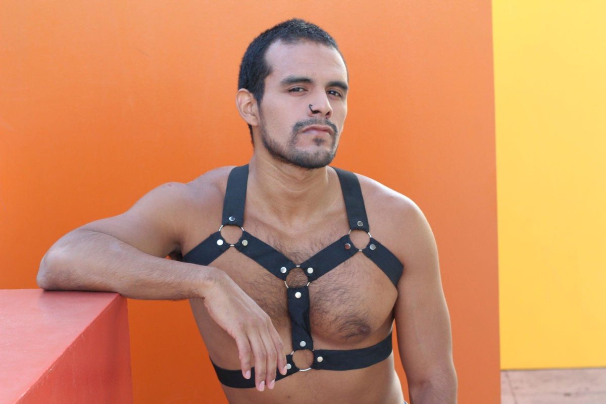 Types Of Leather Harnesses