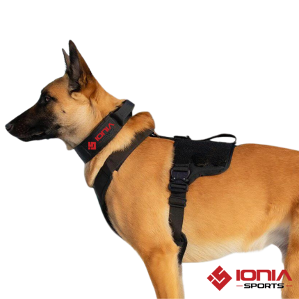 Harness for service dog