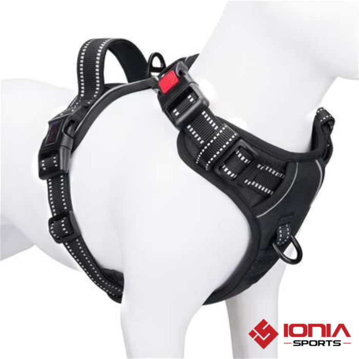 Small Dog Harnesses