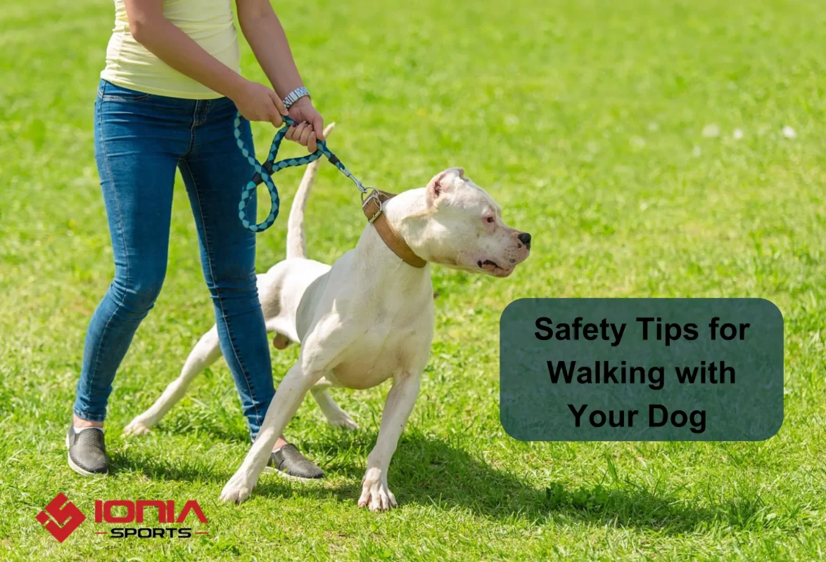 Safety Tips for Walking Your Dog with a Leather Harness