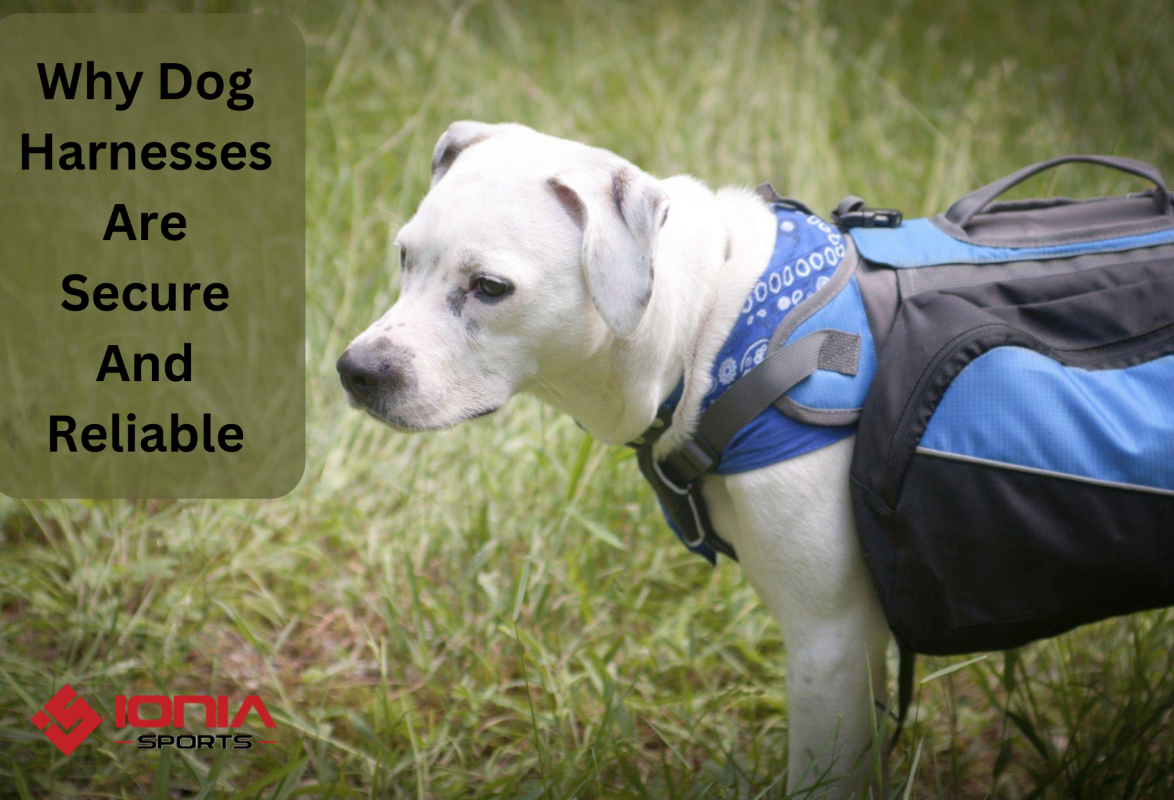 Why Dog Harnesses Are Secure And Reliable