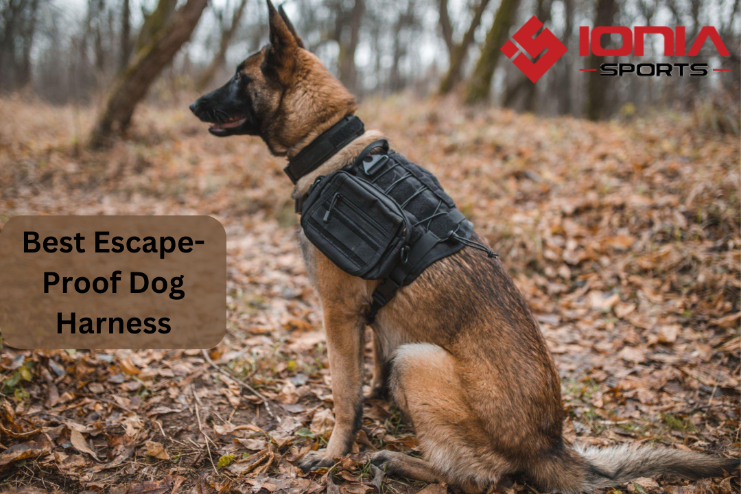 Best Escape-Proof Dog Harness